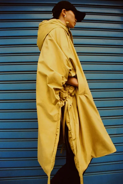 Look 29